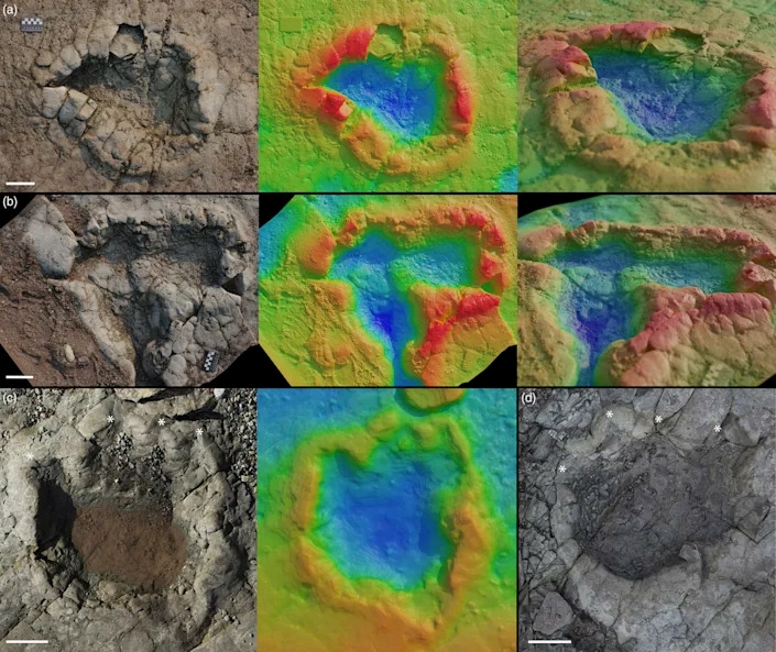 200-million-year-old dinosaur footprints discovered on Wales Beach