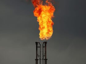 Gas export revenue surpasses oil receipts by 259.4%