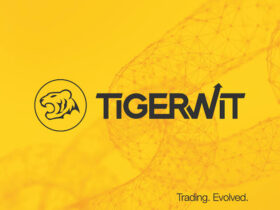 Tigerwit: The Best Time to Trade Forex in Nigeria?